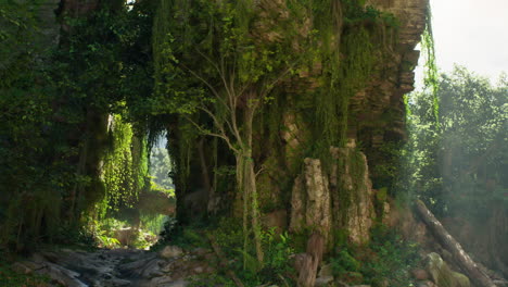 selva tropical exuberante con salientes y caminos