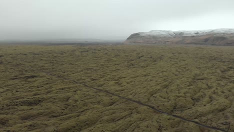 aerial shot of a moss covered lava field in iceland
