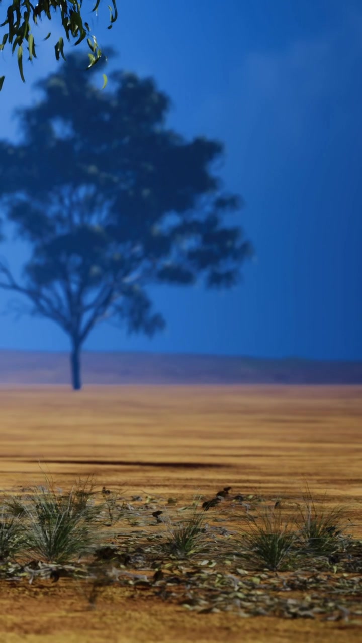 Tramonto su un campo con un albero in lontananza e cielo blu sopra.