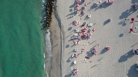 Vista-Aérea-Sobre-Pájaros-Volando-Alrededor-De-Tumbonas-Y-Sombrillas-En-Una-Playa,-En-Miami,-Ee.uu.---De-Arriba-Hacia-Abajo,-Tiro-De-Drones