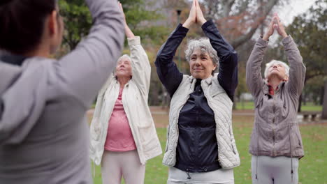 entrenador, parque y mujeres mayores estirándose