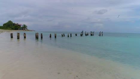 Schwenken-Sie-Den-Linken-Tropischen-Küstenstrand-Mit-Kristallklarer-Wasserbrandung-Und-Pelikanen-Stehen-Auf-Dem-Alten-Pier