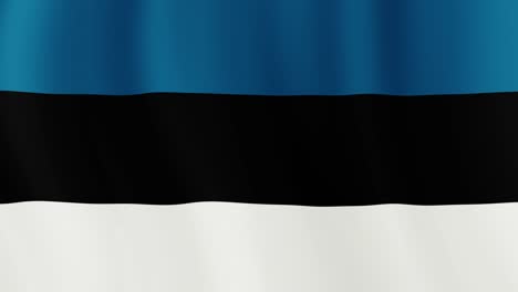 a beautiful view of estonia flag video