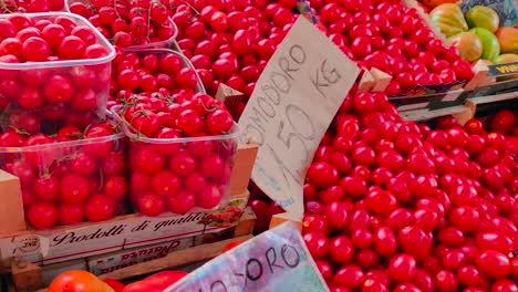 boxes of tomatoes on display at italian market stall, close up pullback