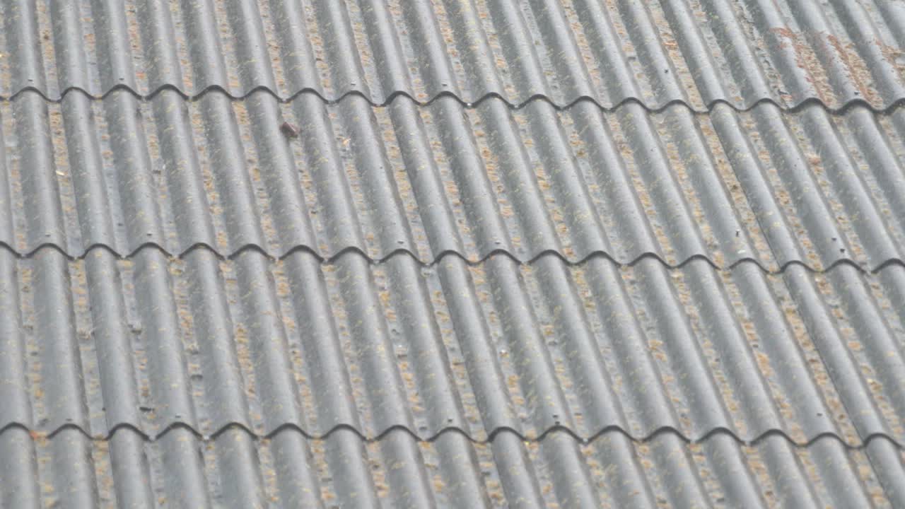 Roof tiles with ridges and dust on surface in a rural setting