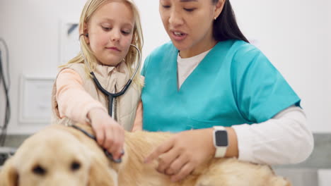 Estetoscopio,-Veterinario-Y-Una-Niña-Con-Su-Perro