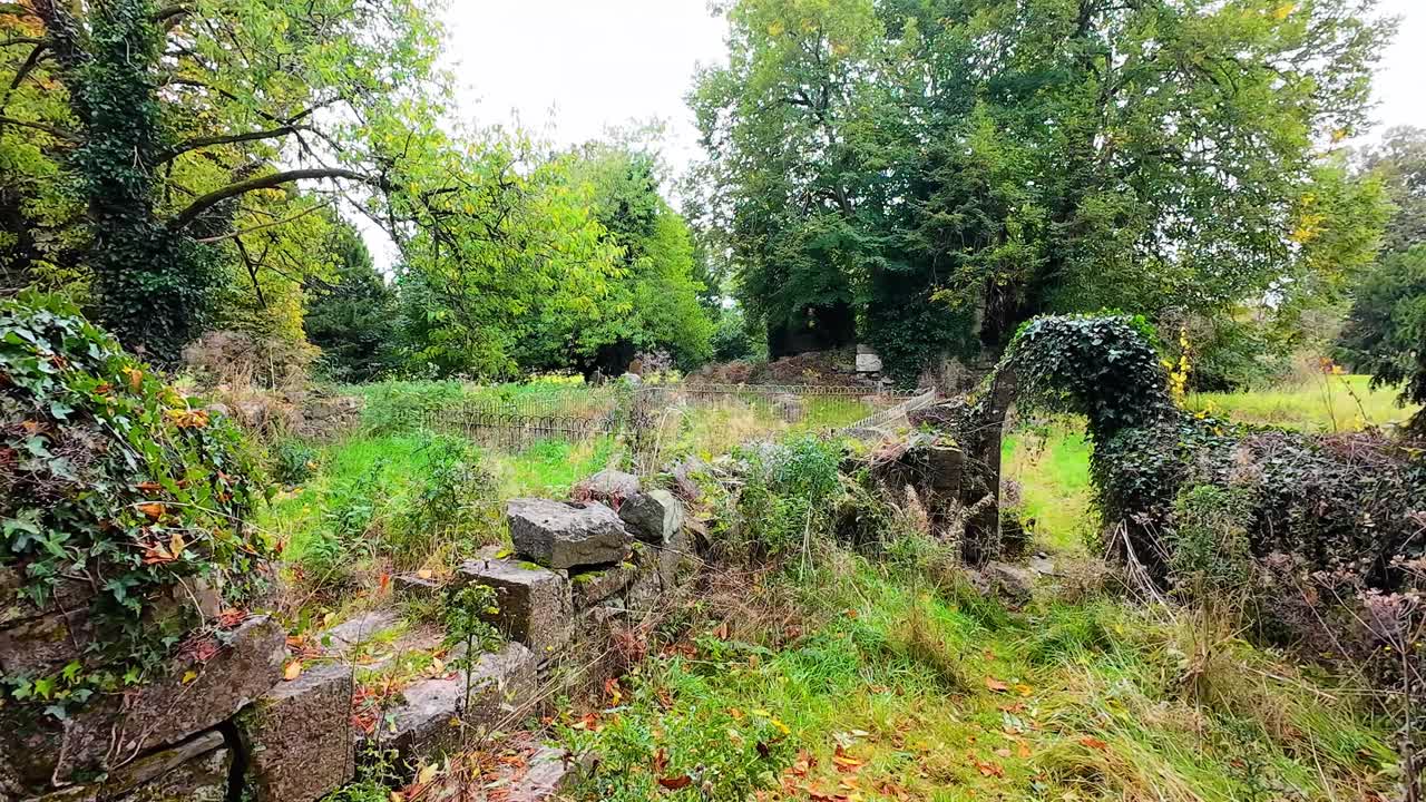 Haunted Ireland ruined abbey in woods site of ghost sitings in the past