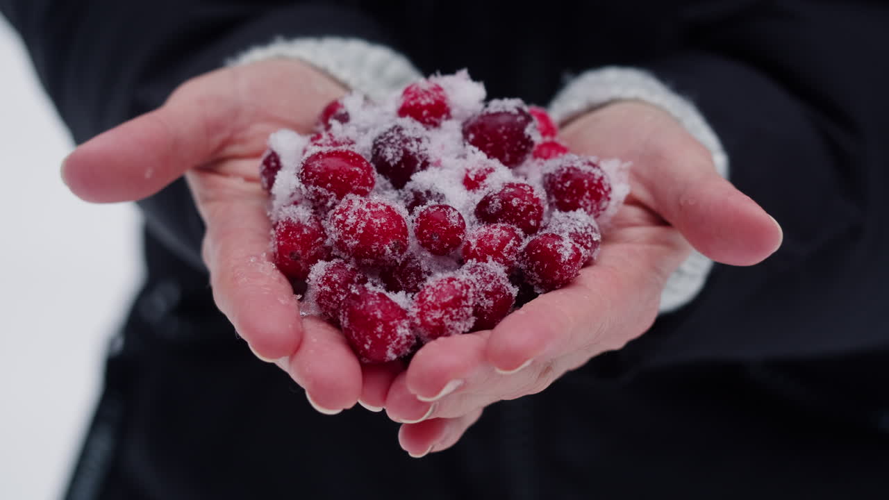 손에 눈으로 인 크랜베리