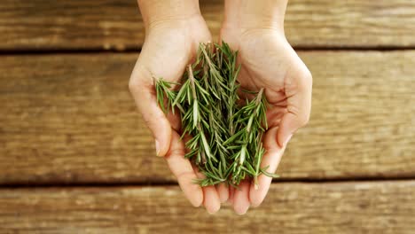 Hands-of-woman-holding-thyme-over-wooden-platform-4k