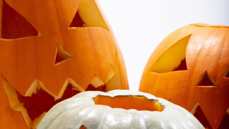 animation of pumpkins on white background