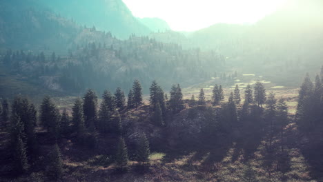 mountain range with valley and forest