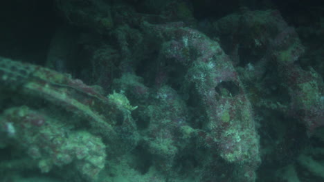 ss thistlegorm es uno de los naufragios más famosos del mundo que transportaba equipo militar durante la segunda guerra mundial, atrae a muchos buzos por la cantidad de carga que se puede ver y explorar