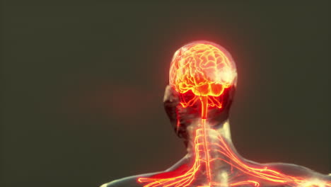 concepto de dolor de cabeza humano cerebro de rayos x brillantes