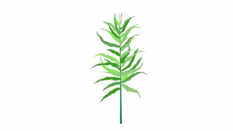 motion graphic tropical leaf of different green shades on white screen. 2d animation. moving exotic jungle plants design. stock video 4k with alpha channel