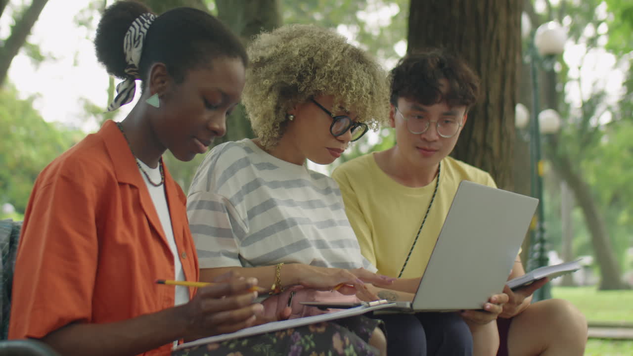 College Students Doing Homework Together in Park
