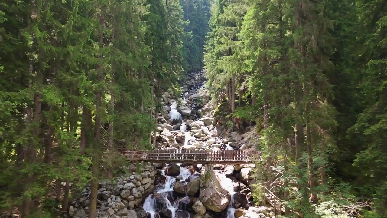 Un pittoresco ruscello di montagna che scorre a cascata sulle rocce sotto un ponticello di legno nella lussureggiante foresta della Val Genova. Ideale per contenuti di viaggio su sostenibilità e benessere
