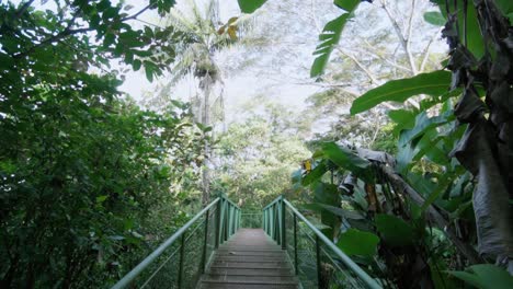 point-of-view: crossing a tropical forest bridge, slow motion tracking shot