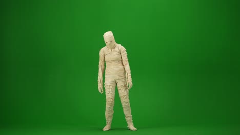green screen isolated chroma key video capturing a mummy dancing and singing actively into the - green screen isolated chroma key video capturing a mummy dancing and singing actively into the microphone. haloween holidays. mock up, workspace for your promotion clip or advertisement