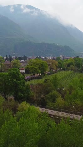 vertical drone pull away over dense green trees near ponte di sant’antonio in bolzano, italy, revealing vineyards, a road, and the mist-covered slopes of monte tondo in the background, real time