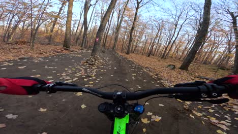 Mtb-Pov-Montando-Saltos-En-Otoño-Sendero-Bosque-Puesta-De-Sol