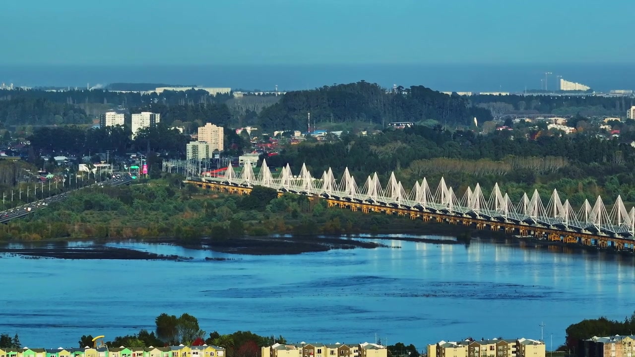 Carrellata verso l'iconico ponte strallato Bio Bio con distintive guglie bianche che attraversa l'ampio fiume circondato da rive boscose e la città oltre. Concepción, Cile.