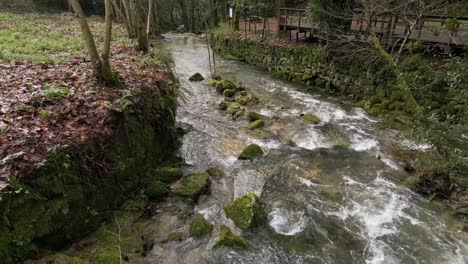 flujo de arroyo rústico en un entorno de bosque exuberante - aérea