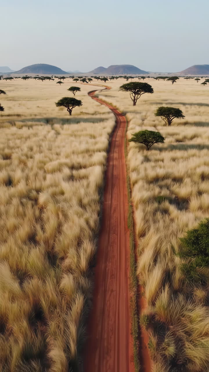 Strada sterrata nella savana africana