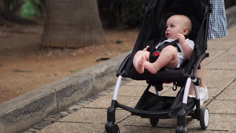 Amidst-a-park's-summer-splendor,-a-young-mother-takes-a-leisurely-walk-with-her-baby-in-a-stroller.-Her-happiness-radiates-as-she-accompanies-her-son