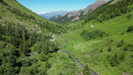 pequeño río flotante en el valle verde en los alpes franceses - antena