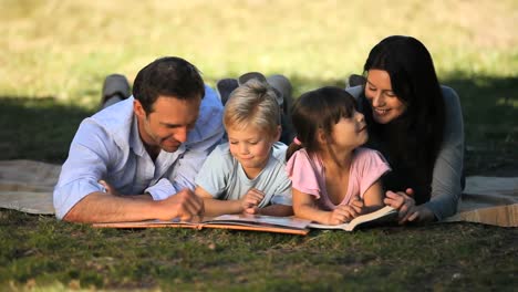 Familie-Liest-Ein-Buch,-Das-Auf-Dem-Gras-Liegt