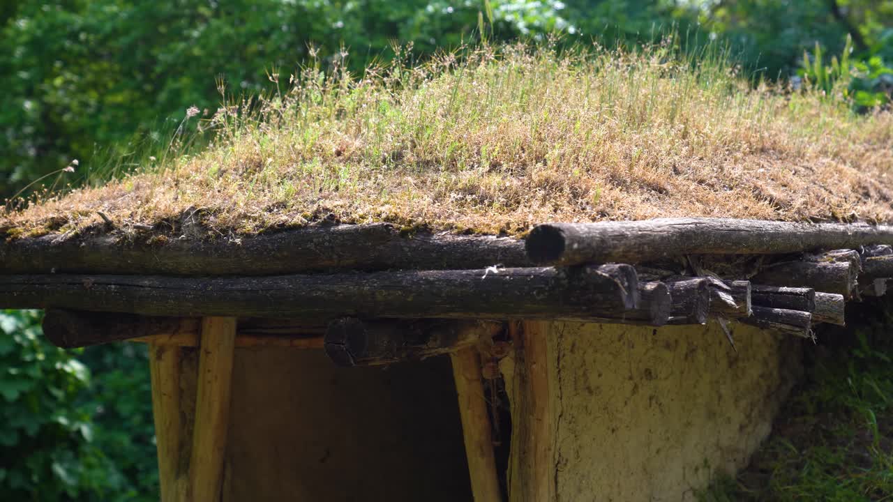 Grass-covered roof of a primitive clay hut with timber support beams