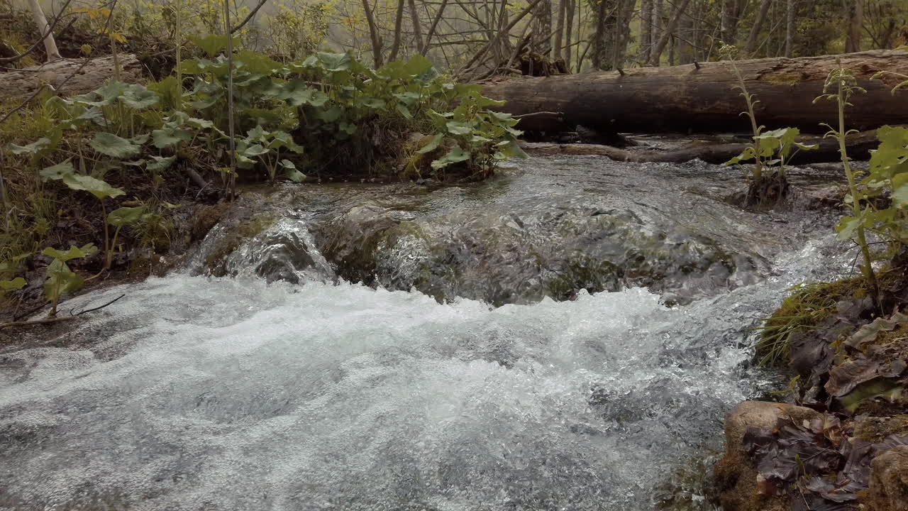 Acqua che scorre velocemente e cascate del Parco Nazionale di Plitvice in Croazia.