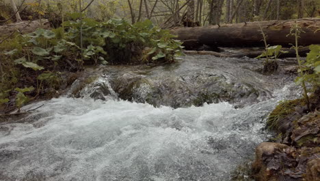 fast flowing water and waterfalls of the plitvice national park in croatia