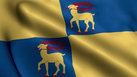 flag of the swedish region kalmar