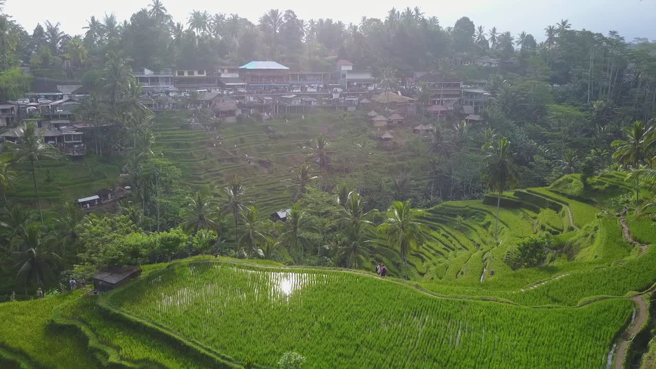el sol se refleja en espectaculares terrazas de arroz tegallalang inundadas en bali