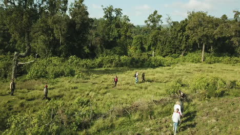 Nice-drone-view-approaching-a-group-of-hikers-crossing-a-field-in-the-Mau-Forest,-Rift-Valley,-Kenya