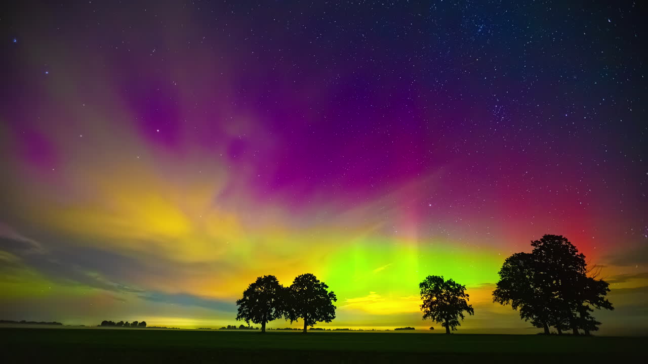 Timelapse of the northern lights and a starry night sky over a field with trees