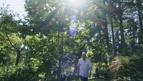 Older-man-walks-in-garden,-trees,-plants,-sun-flare,-tilt-down