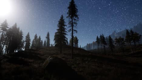 Estrellas-De-La-Vía-Láctea-Con-Luz-De-Luna