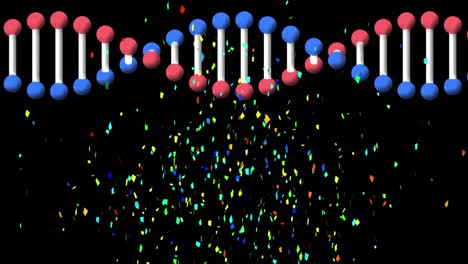 Animation-of-colourful-confetti-falling-over-rotating-dna-strand,-on-black-background