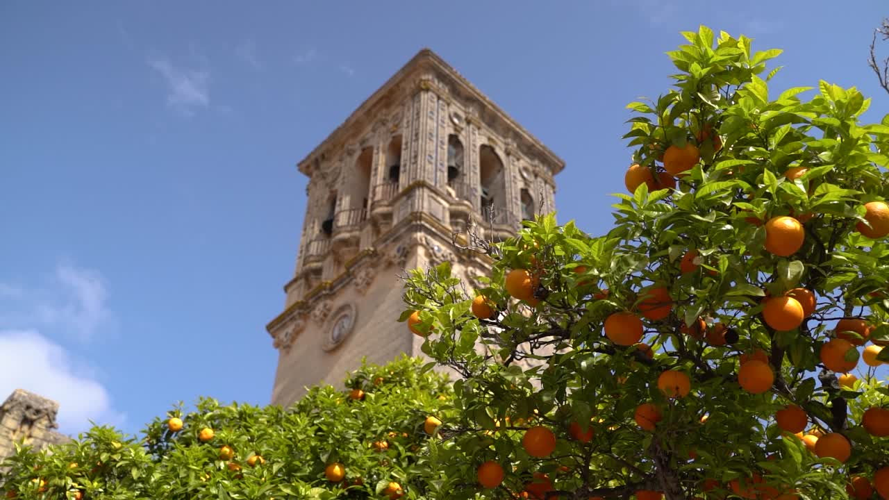 푸른 나무와 오렌지가 있는 푸른 하늘을 배경으로 시계탑을 올려다본다
