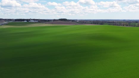 Imágenes-Aéreas-De-Cultivos-De-Campo-De-Tierras-De-Cultivo-Verdes-En-Pintorescas-Colinas-Onduladas-Con-Nubes-Y-Cielo-Azul-En-4k