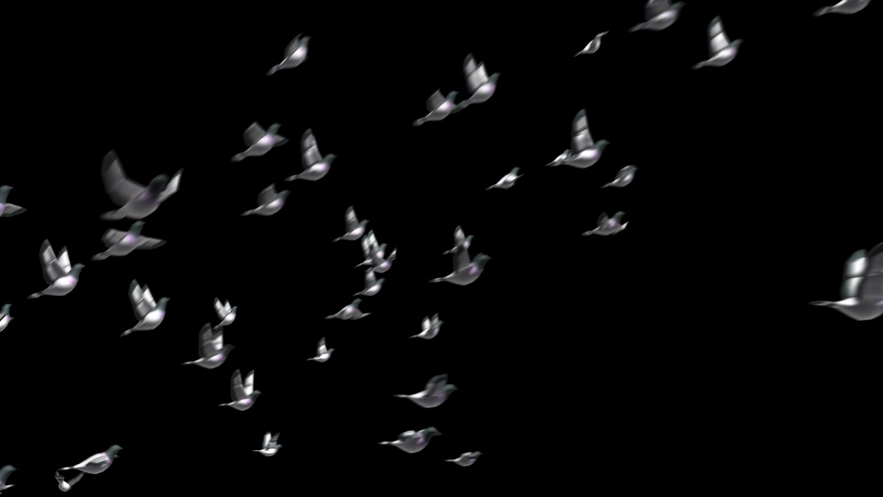 Birds in Flight