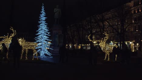 creative christmas light decoration displays at night in city park