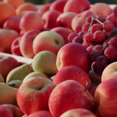 Juicy-apples-and-other-fruits-on-the-counter-of-the-farmers-market