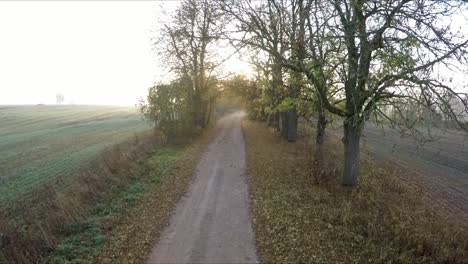 the gravel road and the sun's rays behind the trees in the autumn morning-1