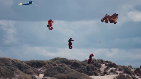 A-close-up-shot-of-various-anima-shaped-kites-floating-in-the-air-at-the-Romo-kite-festival