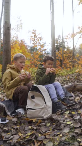 kids sitting on a dead tree