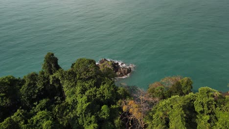 Aerial-view-of-tropical-palm-trees-and-rain-forest-with-ocean-and-island