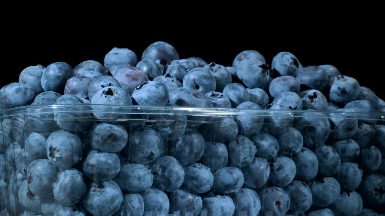 흑색 바탕의 일회용 플라스틱 식품 패키지에 담긴 신선한 블루베리, 클로즈업, 카메라 회전 360도, 보그 빌베리, 북부 빌베리 또는 서부 블루버리 (vaccinium uliginosum)